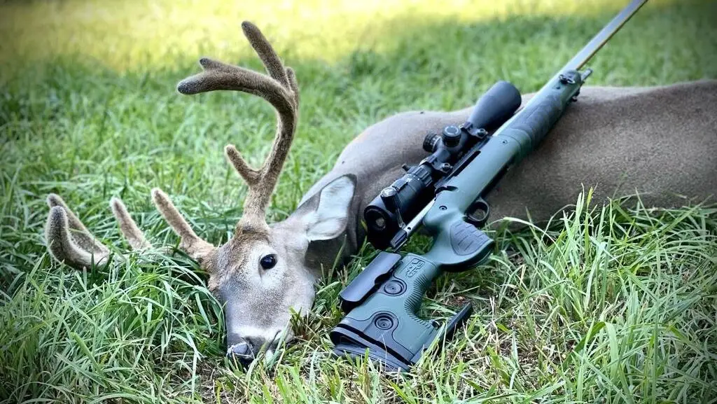 GRS Bifrost chassis - Image 5